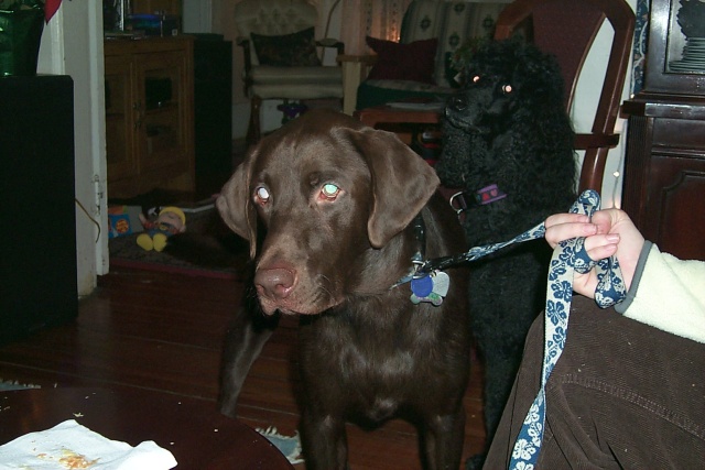 p0000594